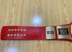 AEW TNT CHAMPIONSHIP TITLE BELT CHRISTIAN CAGE BELT WRESTLING NOVELTY BELT