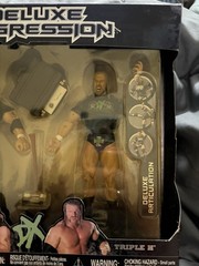 2006 WWE Jakks Pacific Deluxe Aggression DX: Shawn Michaels & Triple H EXCLUSIVE