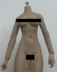 1/6 Female Flexible Seamless Doll Body For 12″ Greyish Posable Action Figure C