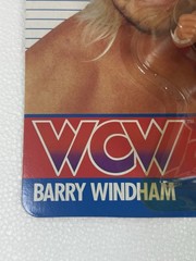 WCW Galoob MOC Barry Windham NM++ Titan Vintage WWF WWE LJN Hasbro