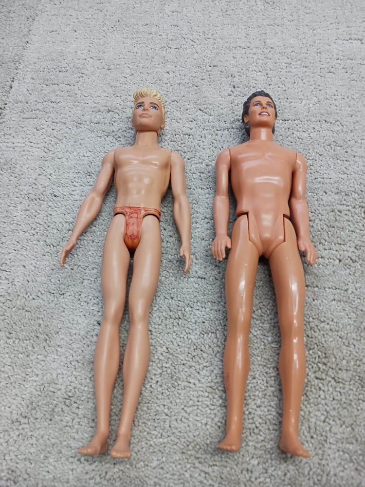 1968 Ken 2016 Ken Lot Of 2