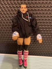 WWE CM Punk Ultimate Edition Series 27 figure 100% Complete.