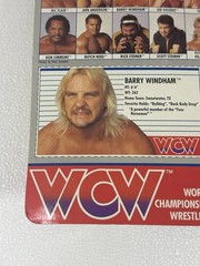 WCW Galoob MOC Barry Windham NM++ Titan Vintage WWF WWE LJN Hasbro