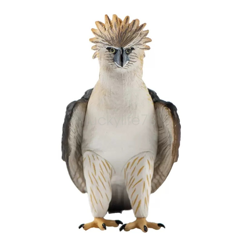 Wild Animal Raptor Series Philippine Eagle American Harpy Eagle Decoration Model