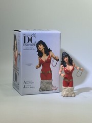 Donna Troy Bust Women of DC Universe Adam Hughes Limited Edition 5250/6000