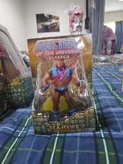 MOTU Adult Collector toys