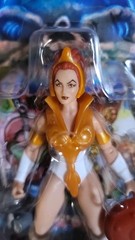 MOTU Masters of the Universe TEELA Cartoon Collection FREE SHIPPING Filmation