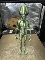 Area 51 Green Alien Action Figure 7” Tall Bronze Silk Version!
