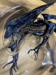 NECA- “Alien Queen Deluxe Action Figure” W/ Original Box And Accessories