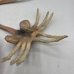Alien Resurrection FACE HUGGER Kenner 1998 Movie Edition