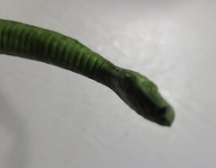 Vintage Jake The Snake Roberts LJN Titan Sports With Damein Figure 1987 Wwf Wwe