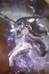 ALIEN VS PREDATOR REQUIEM: PREDALIEN 5.5in DELUXE 1:18 SCALE ACTION FIGURINE NEW