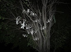 Plastic Skeleton Bat 12×6.5 inches All-Weather Halloween Decor Spooky