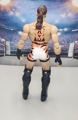 Mattel WWE Elite Series 91 Rob Van Dam Wrestling Action Figure RVD