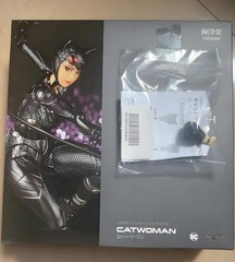 Kaiyodo Revoltech Amazing Yamaguchi Catwoman Action Figure with Bonus Parts New~
