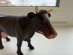 Bruder 1 16 Scale Realistic Cow Toy Figure Multicoloured German Quality 2014