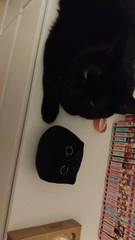 Black Cat Plush Toy Round Body Big Yellow Eyes Long Tail Stuffed Animal 15cm