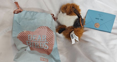 Pop Mart Dear Birds Dimoo World Whispers of Love Confirmed Open Bag