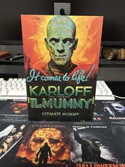 NECA Universal Monsters Ultimate Mummy (Karloff) Action Figure Gray w/ Hands