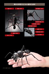 The Diversity of Life on Earth Ant Action Figure Bandai Capsule Toy