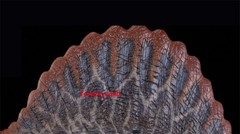 Nanmu Spinosaurus Supplanter 3.0 War God Dinosaur Original Color Figure Model