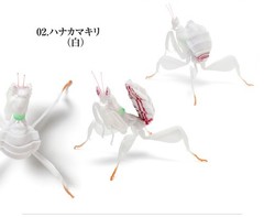 The Diversity of Life on Earth Mantis 03 Set of 6 Complete Bandai Capsule Toy