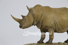 MEMORY MUSEUM 1/15 Africa White Rhinoceros Statue GK Painted Animal Model Decor