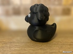 Black Sheep Duck
