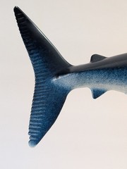 Blue Shark Ocean Animal Toy PVC Action Figure Doll Kids Toys Party Gifts