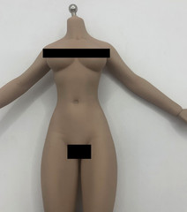 1/6 Female Flexible Seamless Doll Body For 12″ Greyish Posable Action Figure D