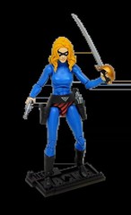 The Phantom Julie Walker Hero H.A.C.K.S. 17th Phantom Series Action Figure