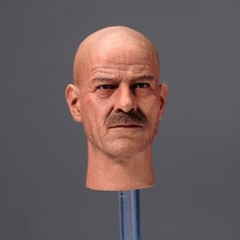 1/6 Scale Walter White Bryan Cranston Head Sculpt Model Toys