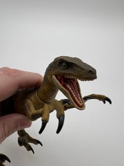 Jurassic World Amber Collection Velociraptor Action Figure