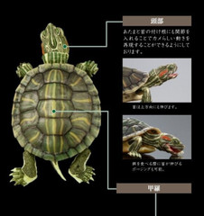 The Diversity of Life on Earth Advance Turtle 01 Figure Bandai Premium Gashapon