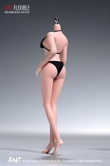 US 1/12 Female Seamless Action Figure Big Bust Pale Skin Body For 6″Soldier Head