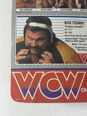 WCW Galoob MOC Rick Steiner Excellent! Vintage WWF WWE LJN Hasbro 1990
