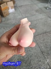 1:6 Normal Skin Big Breast Bust Cover Model F 12” Female TBL Action Figure Body