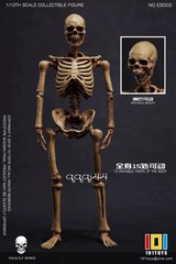 101TOYS NO.ES001/2 Palm Elf Series Skeleton Body 1/12 Action Figure Collectible