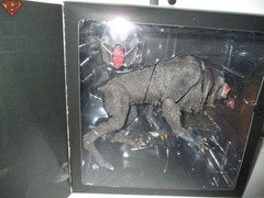 ULTIMATE KESSLER WOLF An American Werewolf in London 7″ Figure Neca MINT 2025