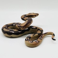 Durable Python Animal Figurine – Ideal Gift for Young Explorers & Halloween
