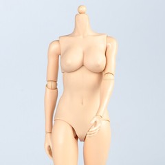 1/6 Female Pale Skin Mid Breast Chest Super Flexible Body For 12″Figure Doll