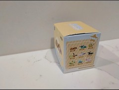 Toptoy Eevee Sleeping Position Series Blind Box Figure Toy Gift (Random Box)