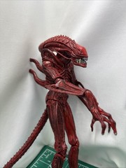Aliens Genocide Xenomorph Alien Warrior Red Series 5 NECA Action Figure