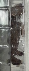 Mezco Cryptozoology Bigfoot 4″ Figure/Toy & Foot Print 2003