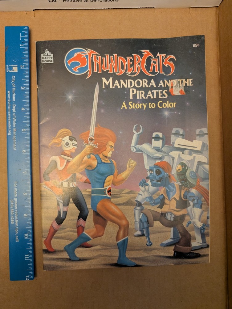 Vintage 1986 ThunderCats coloring book “Mandora and the Pirates,” UNUSED