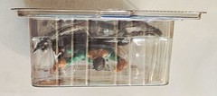 TOY BIZ MARVEL LEGENDS SERIES VIII 8 ICEMAN FIGURE with COMIC BOOK & STAND