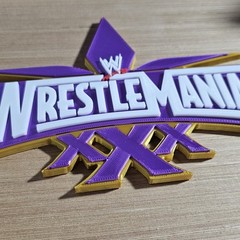 WWE Mattel WrestleMania 30 Logo Accessory