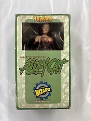 Alley Cat Wizard Action Figure CIB Toy Fare Exclusive 1999 Alley Baggett Image