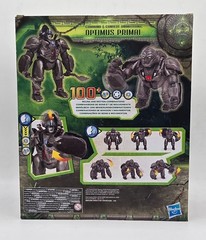 Transformers Rise of the Beasts Command Convert Animatronic Optimus Primal New