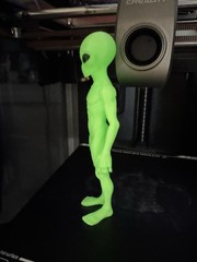 Area 51 Green Alien Action Figure! New Species! 7” Luminous Filament